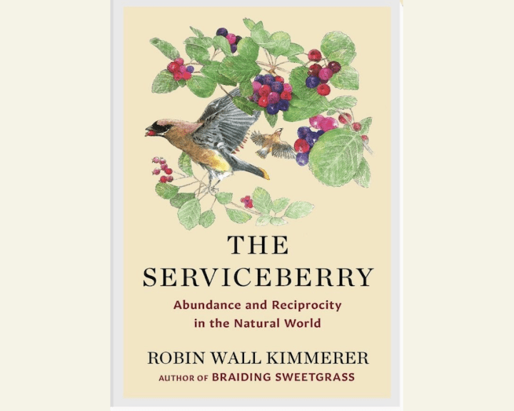 A book cover for The Serviceberry by Robin Wall Kimmerer