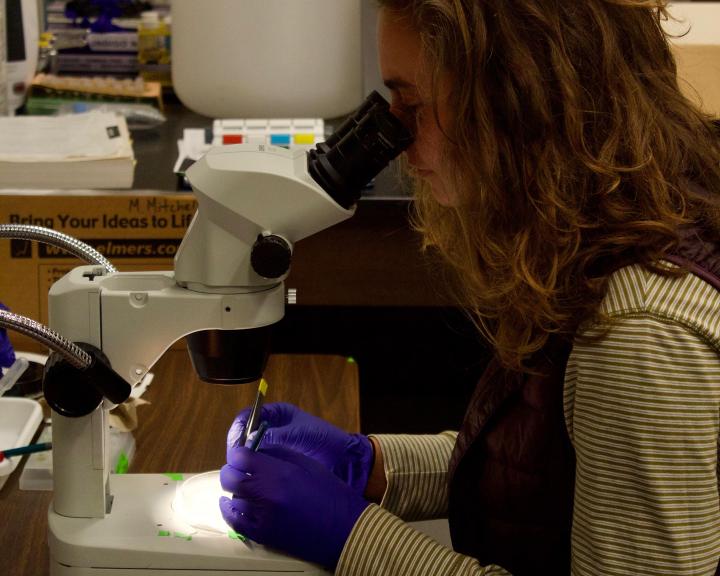 student examining with a microscope in the River Institute laboratory