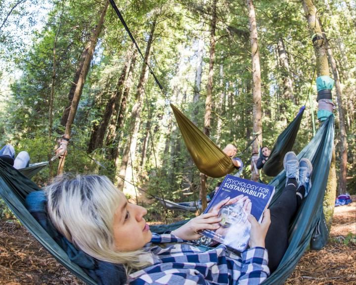 student in a hammock hanging from a redwood tree