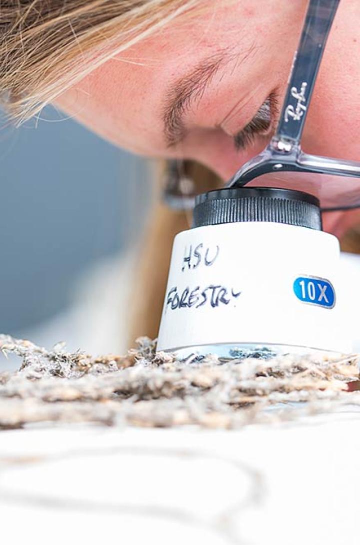 Student using microscope