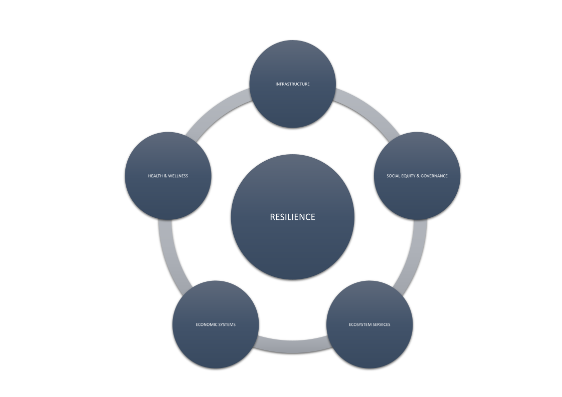 Image depicting the intersectional dimensions of resilience: infrastructure, social equity & governance, ecosystem services, economic services, and health & wellness