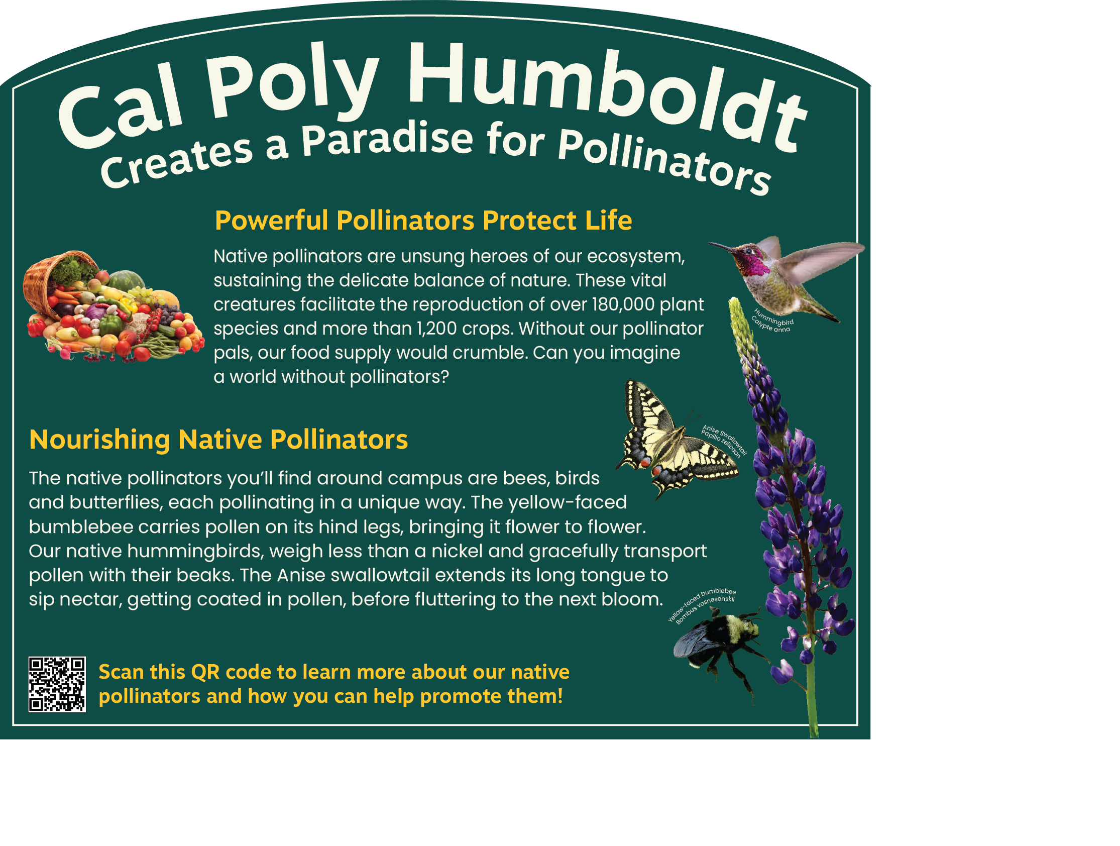 Interpretive sign explaining the importance of pollinators, what they are and how we can help to protect them 