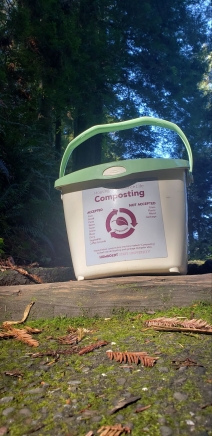 Compost Bin