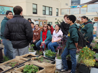 Volunteers check out the roof top gardens