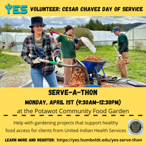 Serve a thon poster